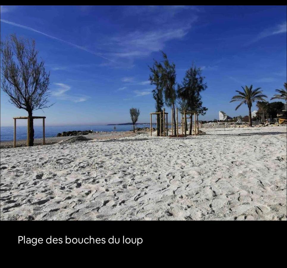 Loft Marina Direct Plage Apartment วิลล์เนิฟ-ลูเบ ภายนอก รูปภาพ