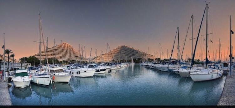 Loft Marina Direct Plage Apartment วิลล์เนิฟ-ลูเบ ภายนอก รูปภาพ